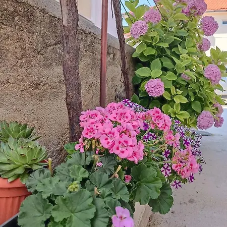 Gallery Freya * Zara