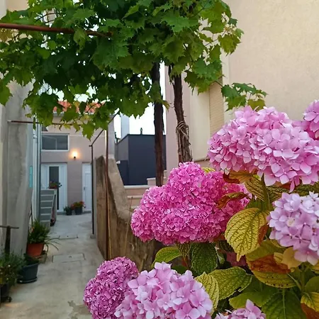 Gallery Freya * زادار