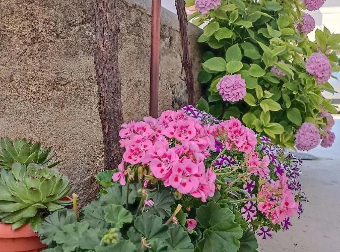 Gallery Freya * Ζαντάρ