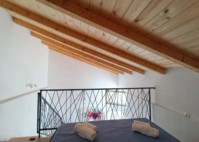 Gallery Freya Ζαντάρ