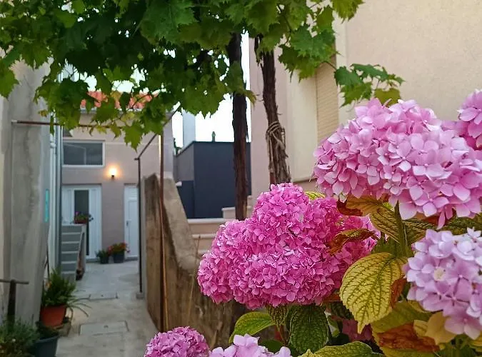 Gallery Freya * Ζαντάρ